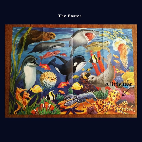 Smithsonian Young Explorers: Oceans - Puzzle - Picture 6 of 7